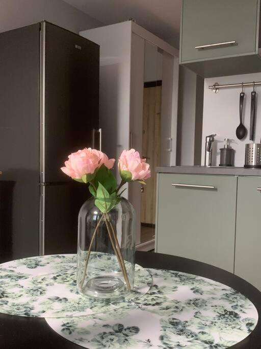 Apartment Near Ozas VNO Eksteriør bilde